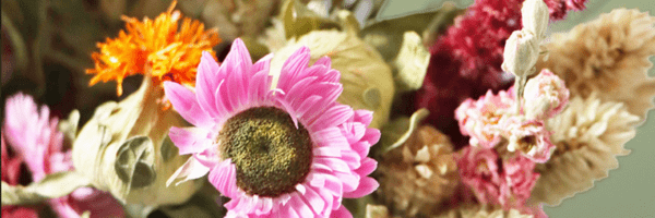Behind the scenes - how our dried door wreaths are made